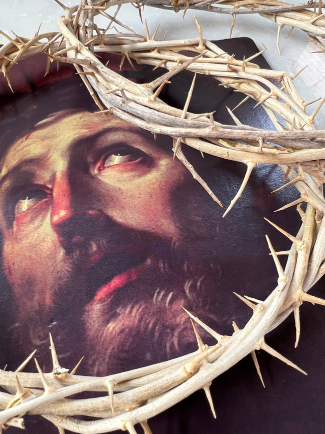 Crown of thorns