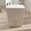 Citrine Abundance Candle